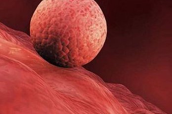 进一步深入泰国三代试管婴儿技术啦