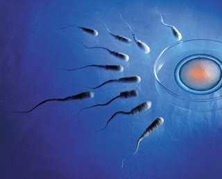 湖南湘雅医院试管婴儿成功率数据热门医生指南