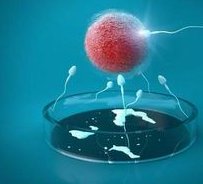 辽宁中医三院试管婴儿费用明细，三代试管不到10万就能做