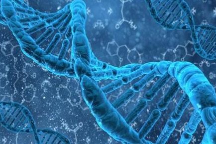 泰国第三代试管费用多少钱一次？