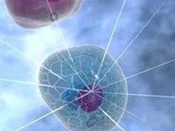 池州三代试管婴儿费用大概多少？