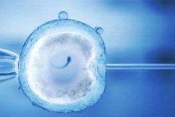 石家庄做第三代试管婴儿一般要多少钱？2026年费用分析